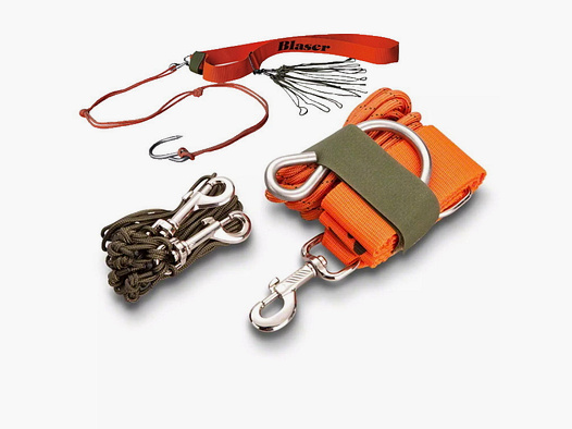 Blaser mountain belt