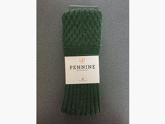 Pennine Chelsea sock Pine