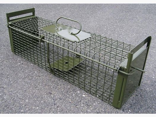 Trappola per piccoli animali in rete DAUTH con due porte di caduta