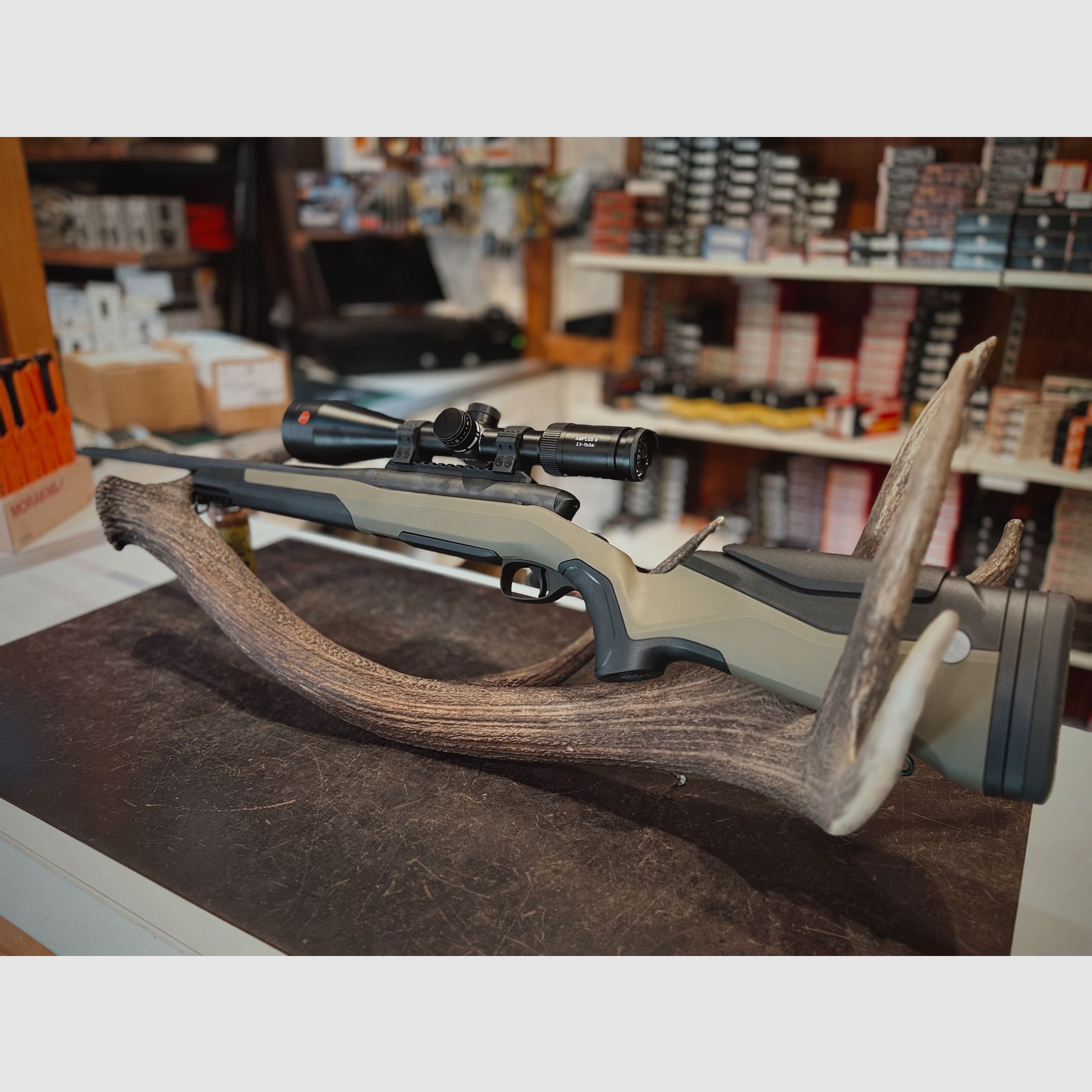 Steyr MS Wild - .308Win - Leica Amplus 2,5-15X56