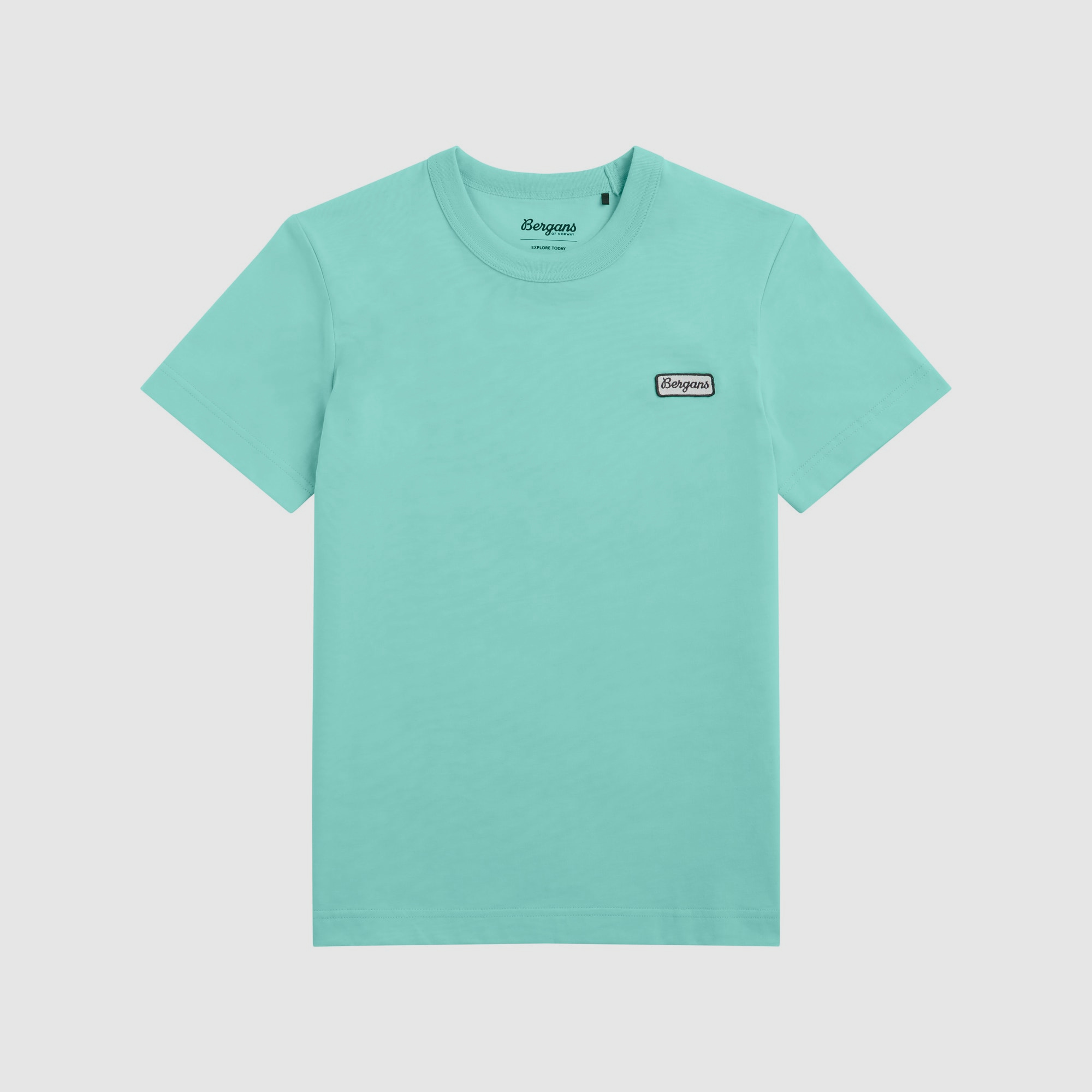Bergans Logo Katoenen T-shirt Dames Cool Mint S
