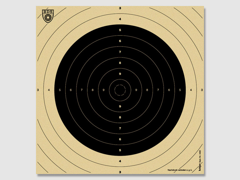 BDS 100M Zielscheibe Einsteckspiegel 25stk.