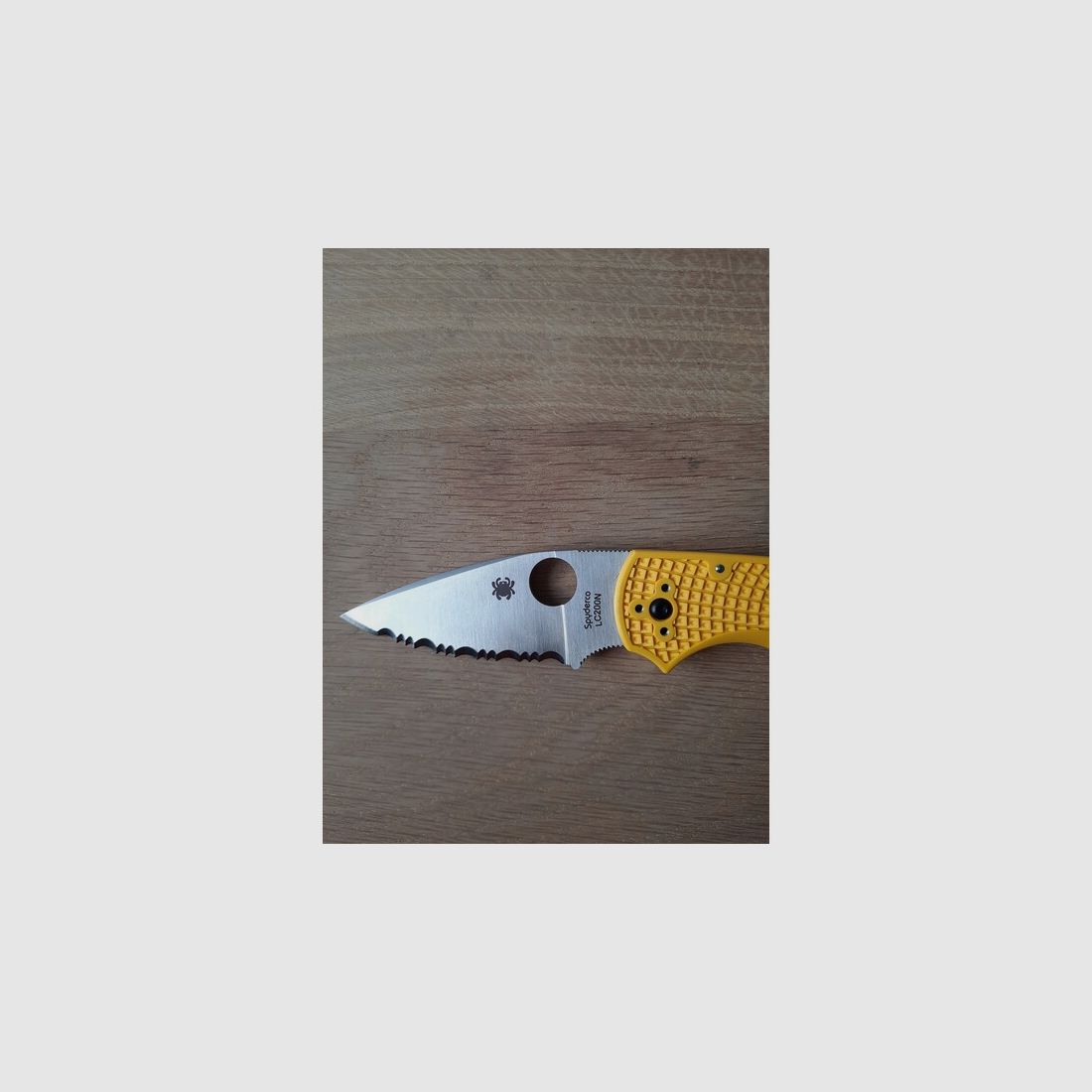 Spyderco Native 5 Salt