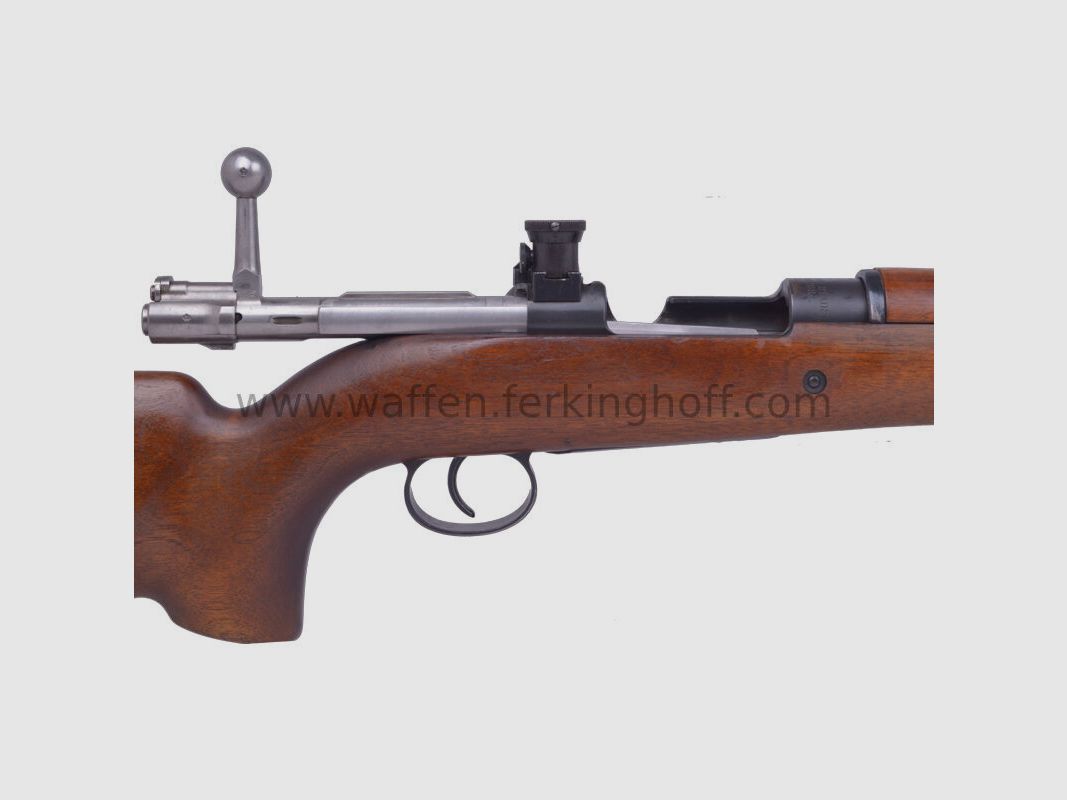 Carl Gustafs M63 Schweden 1905 Elit