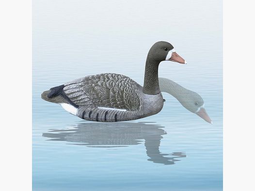 Oca lombardella 62 CM Sport Plast