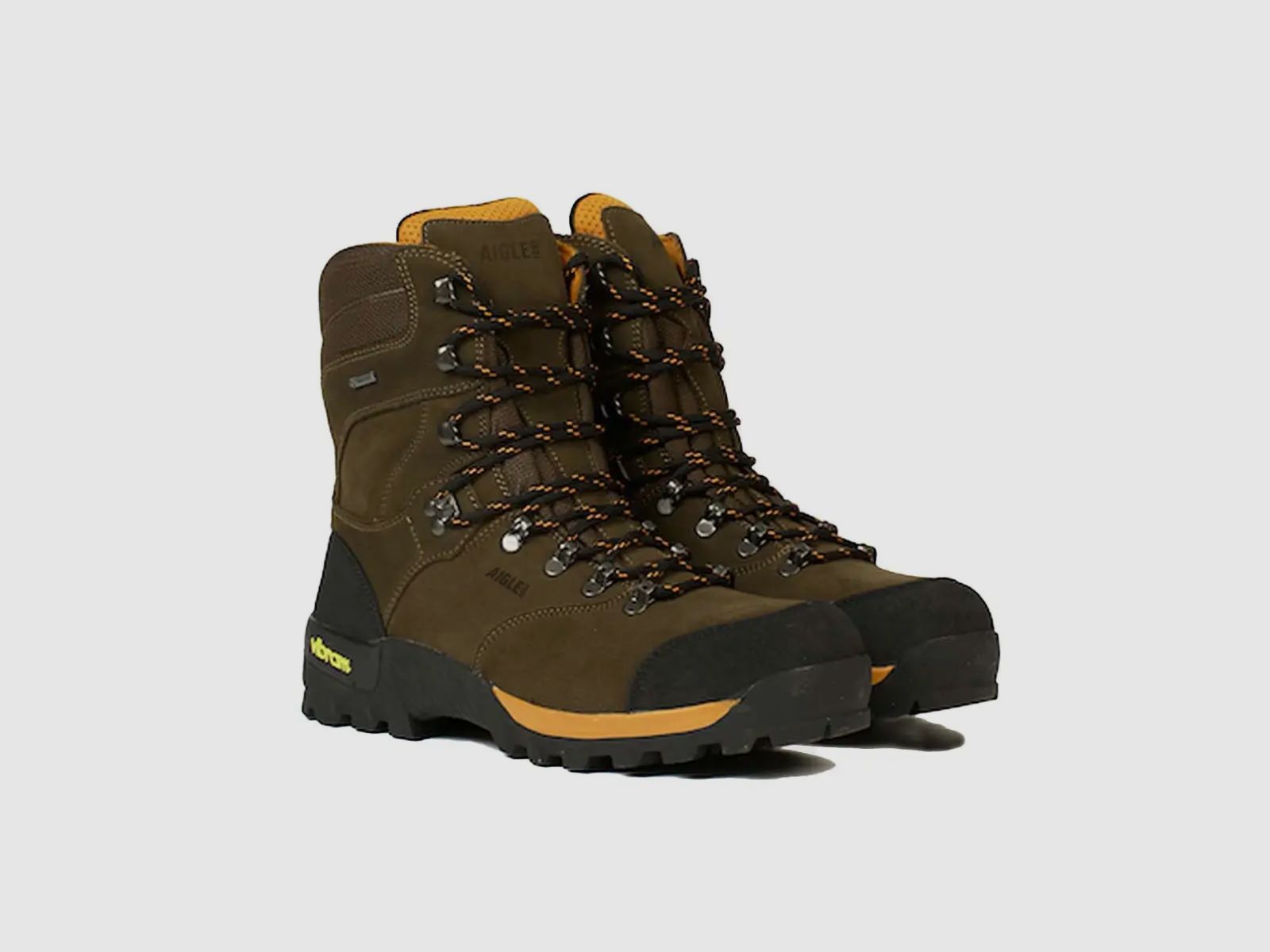 Aigle Outdoor Shoe Altavio HI GTX