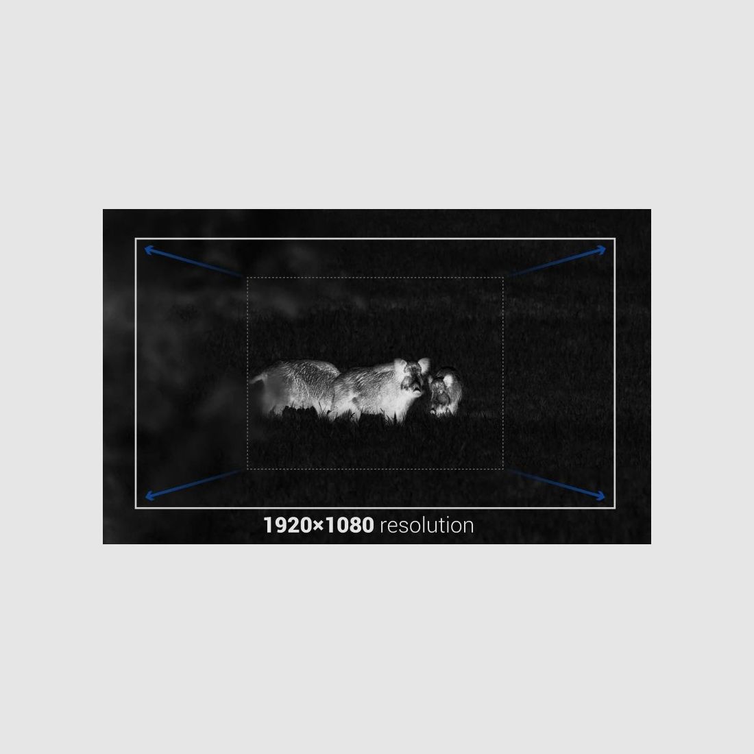 CONOTECH LIPOT 635 LRF, Bild 3 von 6