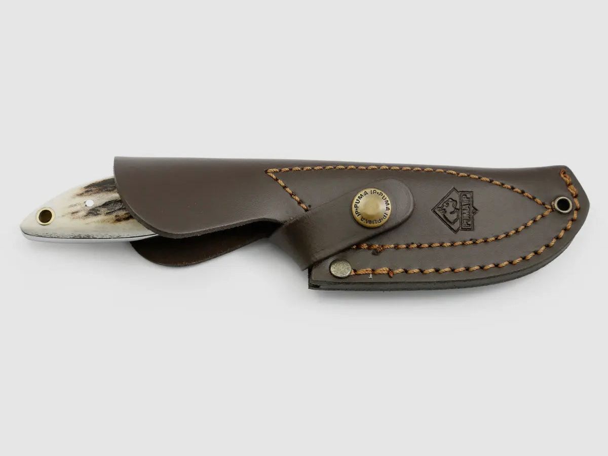 PUMA IP farkas, stag horn