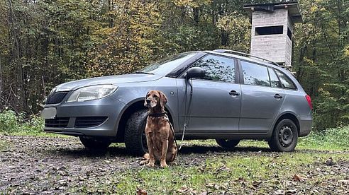 Den PKW höherlegen - das Spring Distance Kit von ST Suspensions