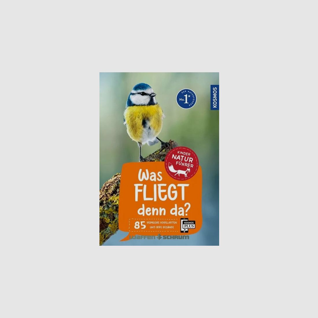 Kosmos Kindernaturführer Was fliegt denn da?