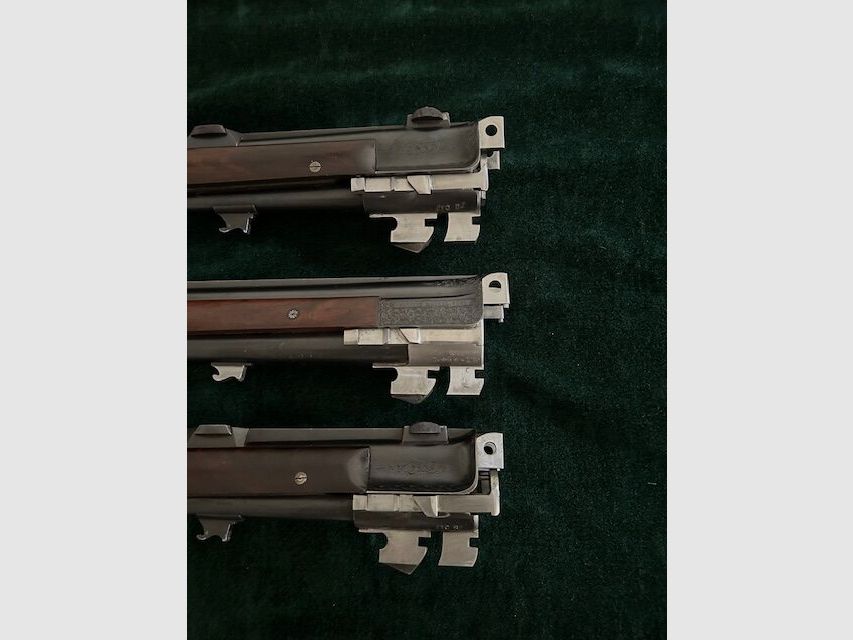 Merkel 313 E
