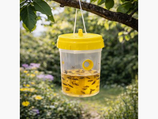 Lot de 2 pièges à guêpes réutilisables sans insecticide à suspendre