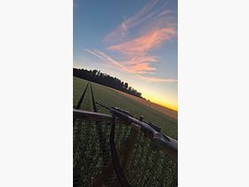 Bergara B14 Wilderness .308 Win | Meopta Optika6 3–18×56 RD | Liemke Luchs 25.1 | Ensemble complet