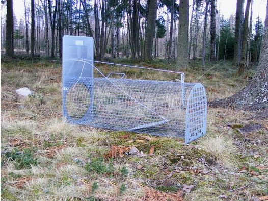 Piège à blaireaux Lotin démonté (sans porte)