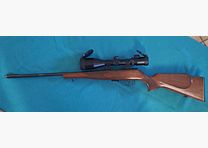 Carabina a ripetizione .22 WinMag