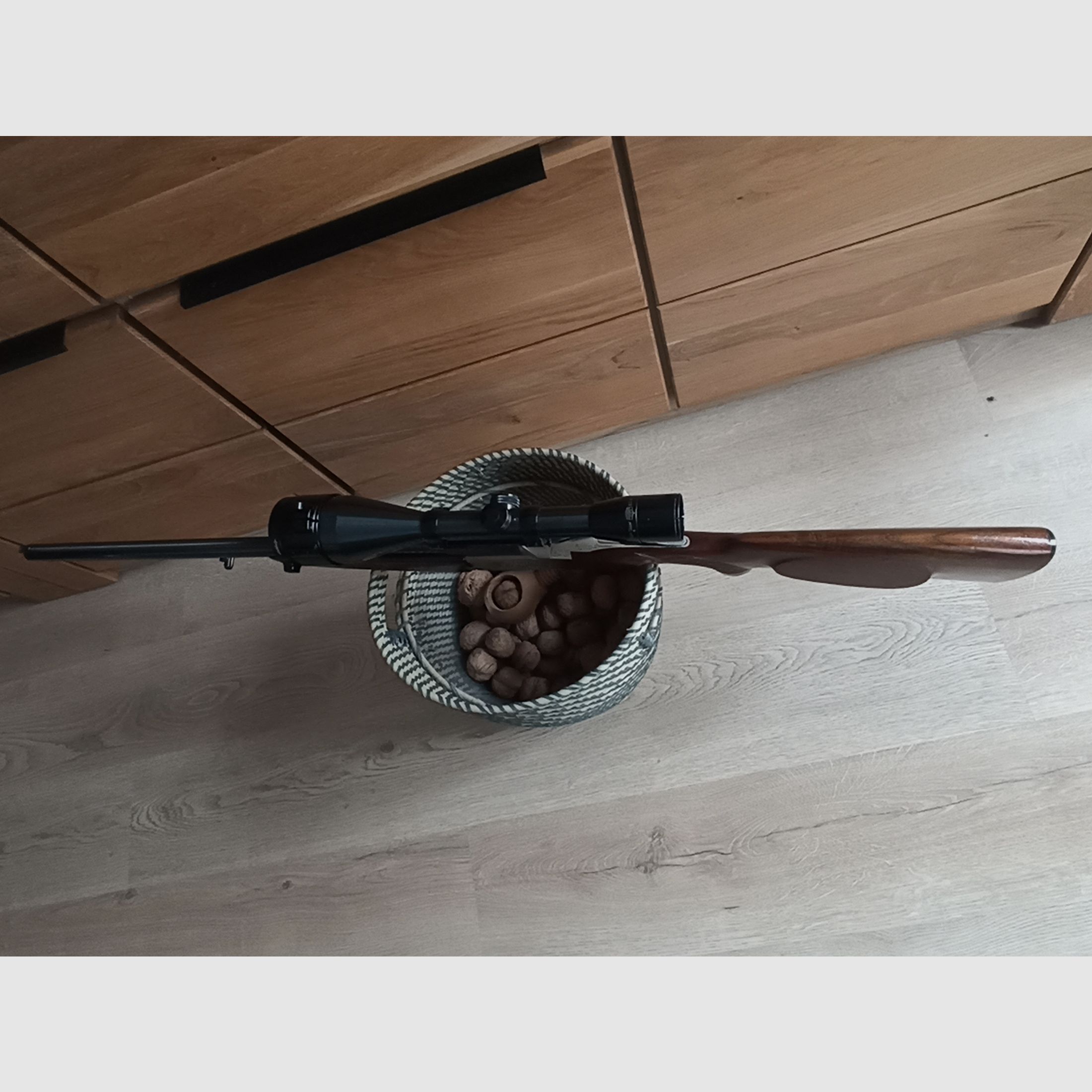 Blaser es 67