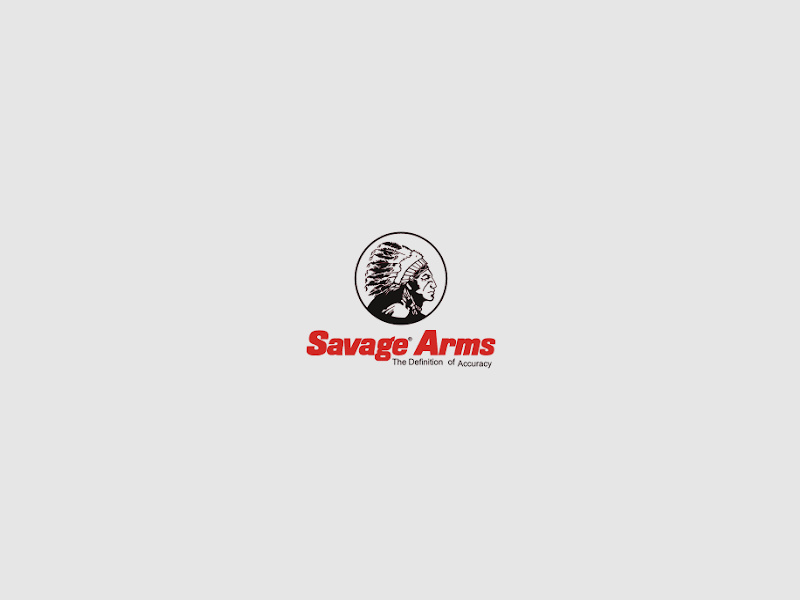 Selbstladebüchse AR15 Savage MSR15 Recon 2.0