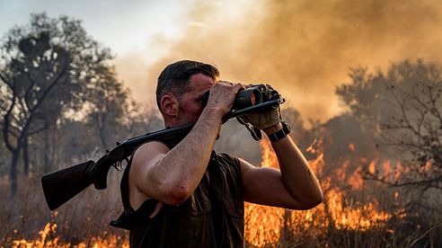 Hunting West Africa's Savanna Buffalo