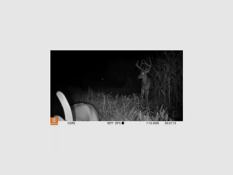 BUSHNELL Core S-4K No-Glow Baumrinde Camo (mehrsprachig), Bild 21 von 25
