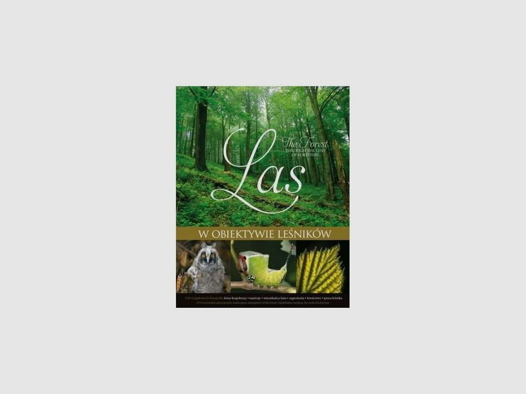 El bosque a través del objetivo de los guardas forestales