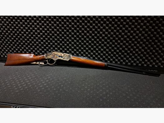 Hege-Uberti 1873