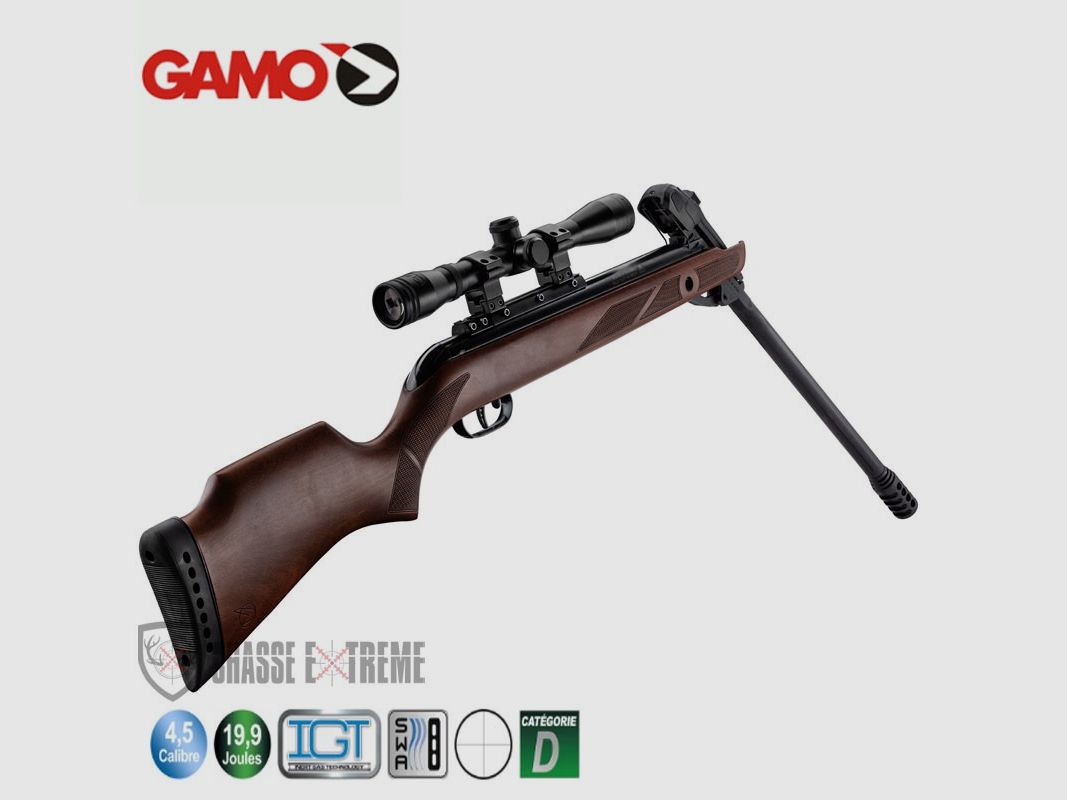 Carabine GAMO Fast Shot 10x Igt - 19,9 Joules + Lunette 4 X 32 Wr, image 1 sur 4