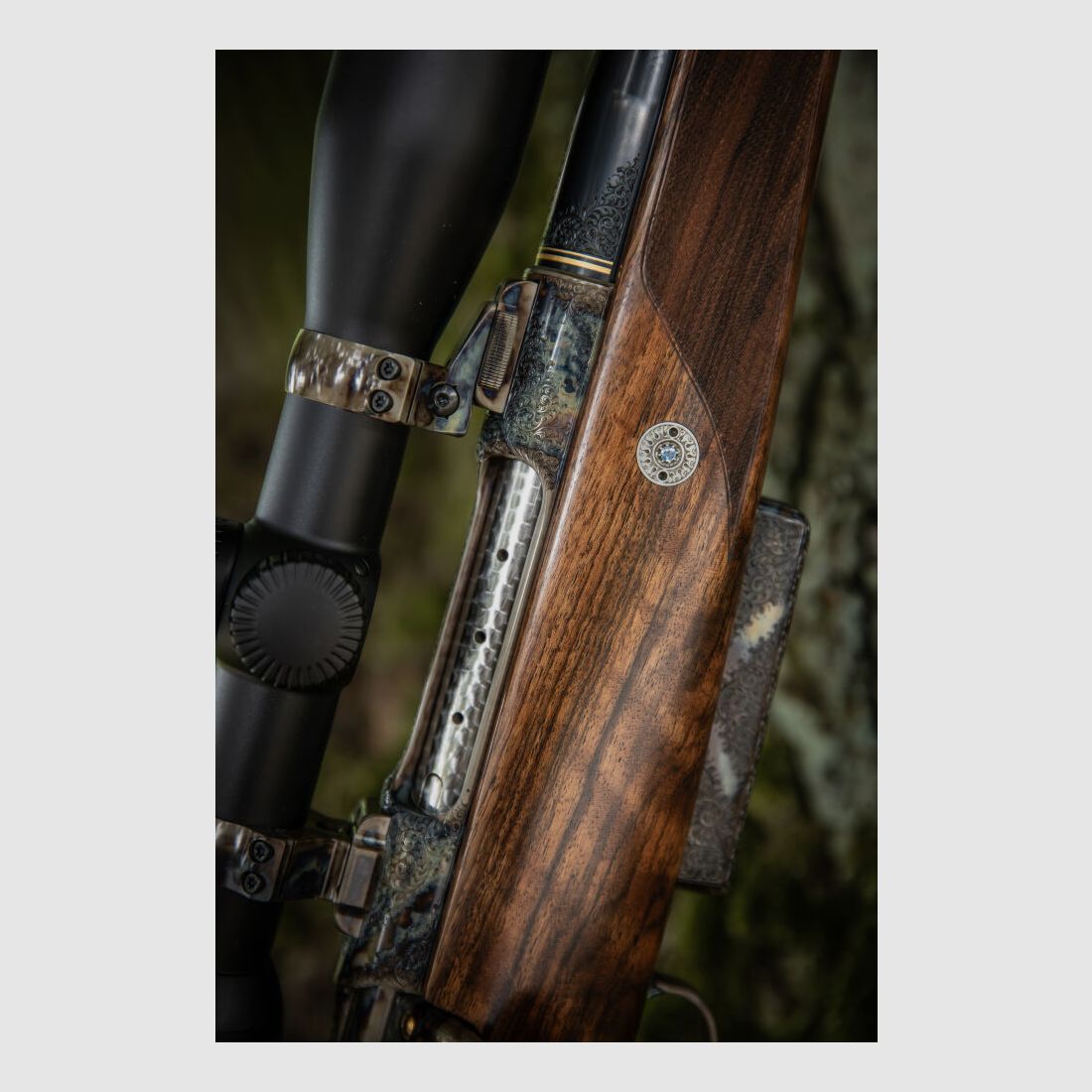 Sauer & Sohn Custom by Mohring Jagdwaffen Sauer 80 Custom Luxus