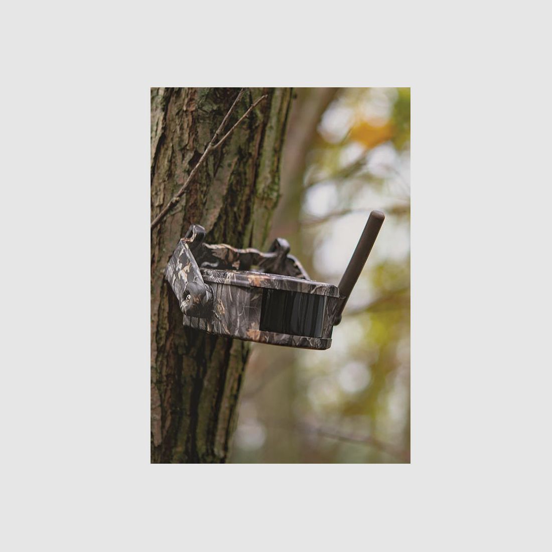 Dörr Wild-Bewegungsmelder Set HA-300