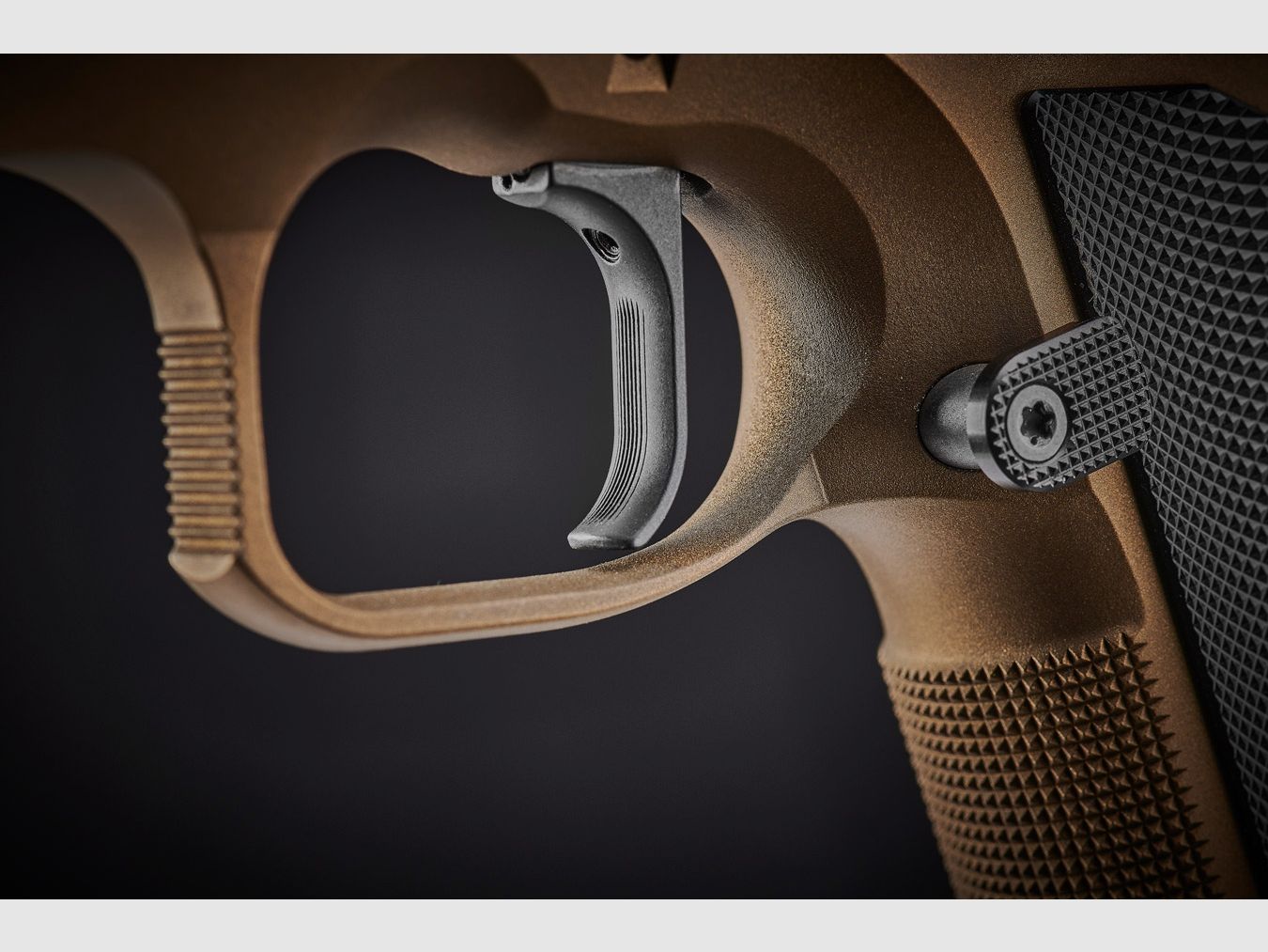 CZ 75 TS2 Bronze Profond 9mmLuger, image 5 sur 11