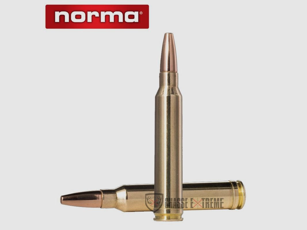 20 Munitions NORMA Ctg cal 300 Win Mag 180gr Vulkan