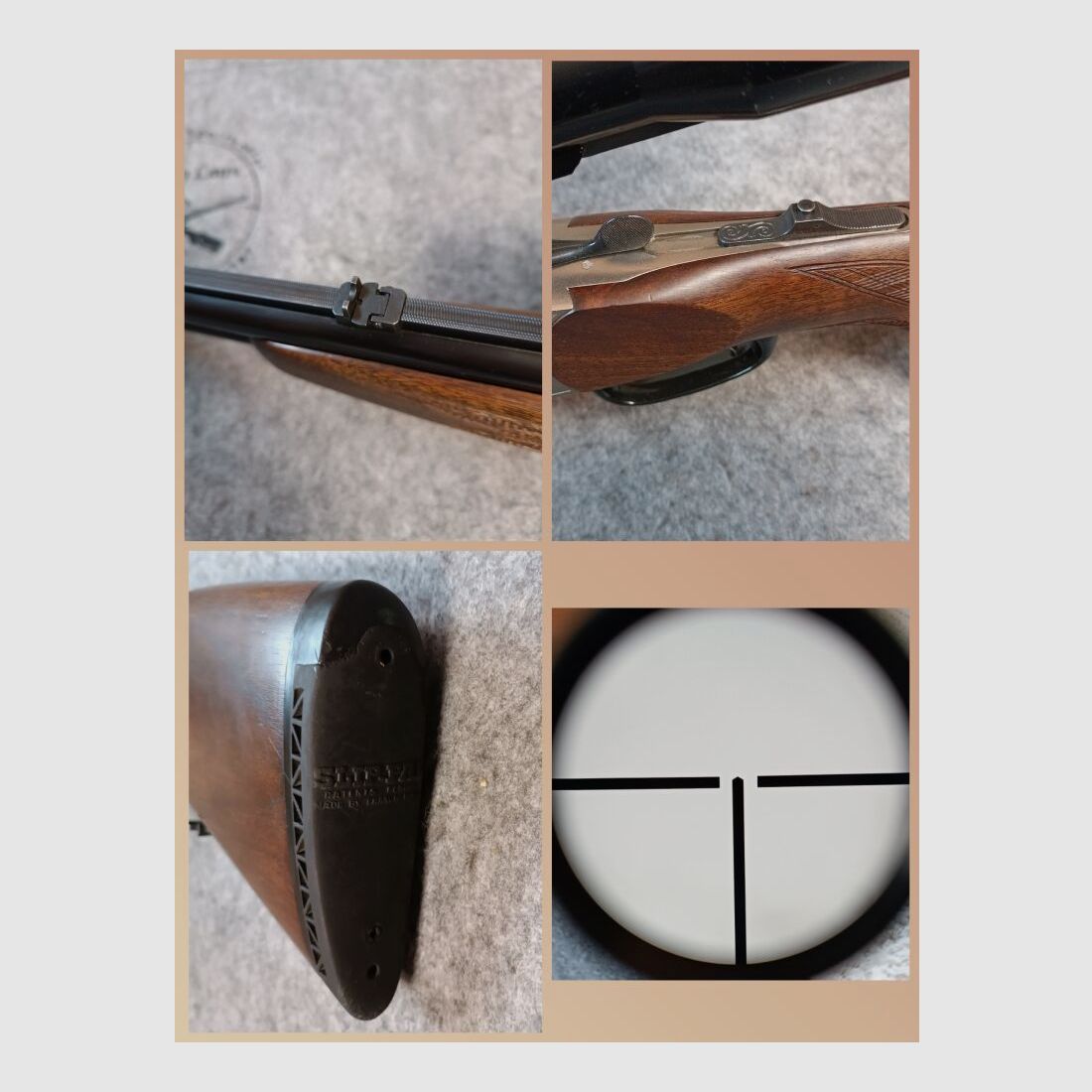 Blaser Mod. ES 80 with ZF Zeiss Diatal-Z 6x42