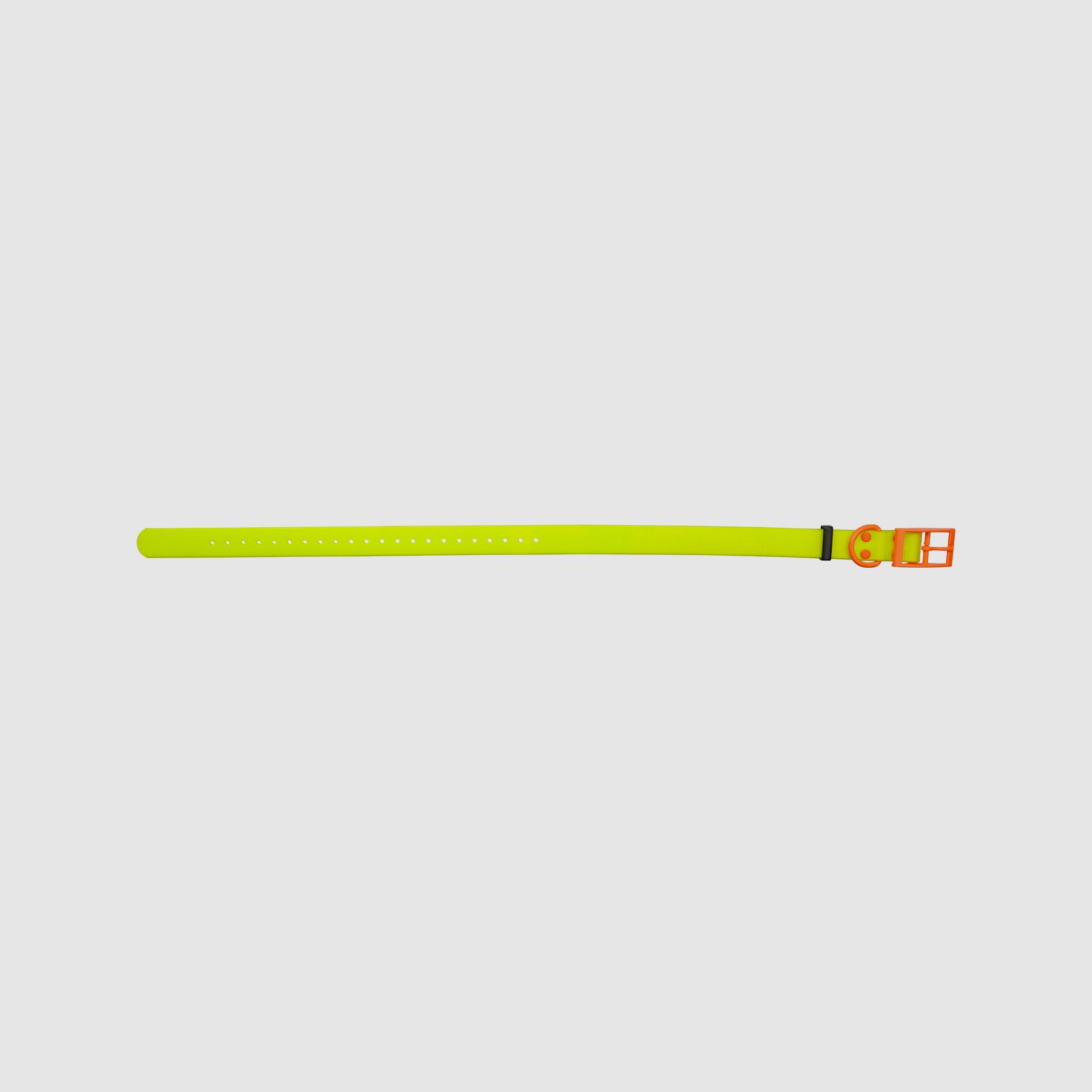 HP&G Dog Collar 25mm Yellow