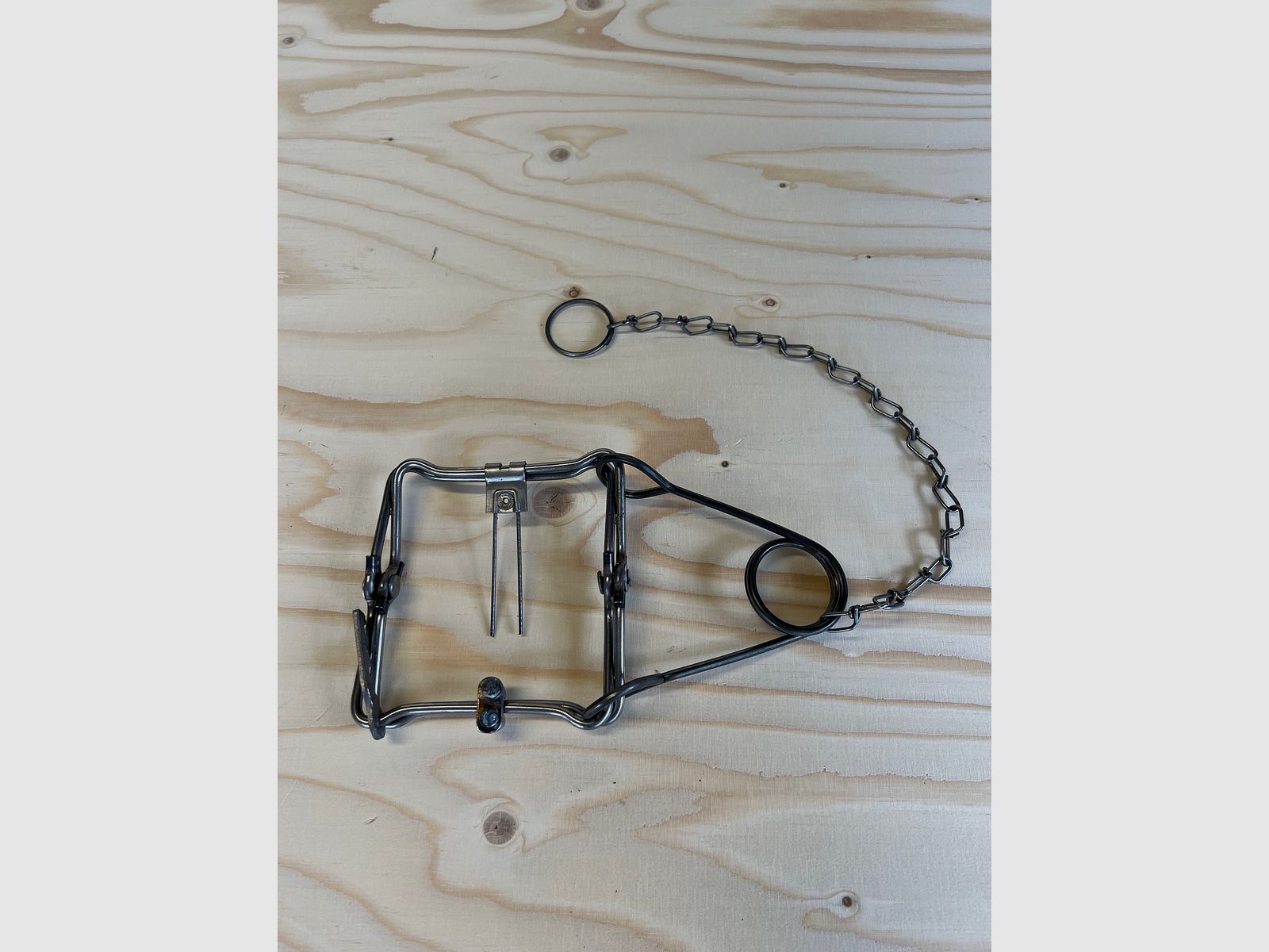 Historische Conibearval klein 12x12 cm