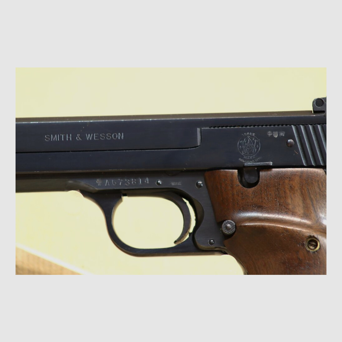 Smith & Wesson 41 .22lr