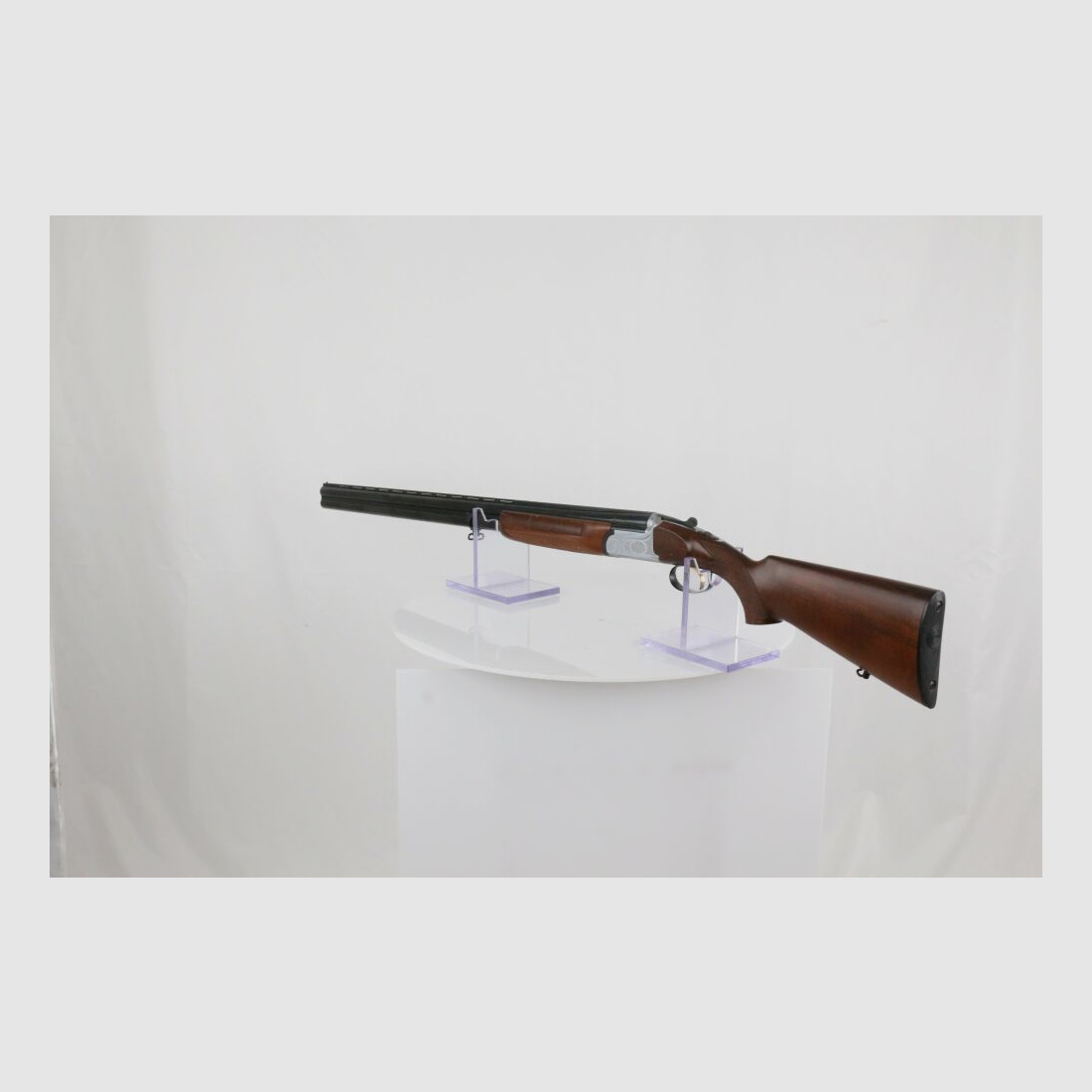 Sabatti	 Falcon