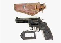 Taurus 669