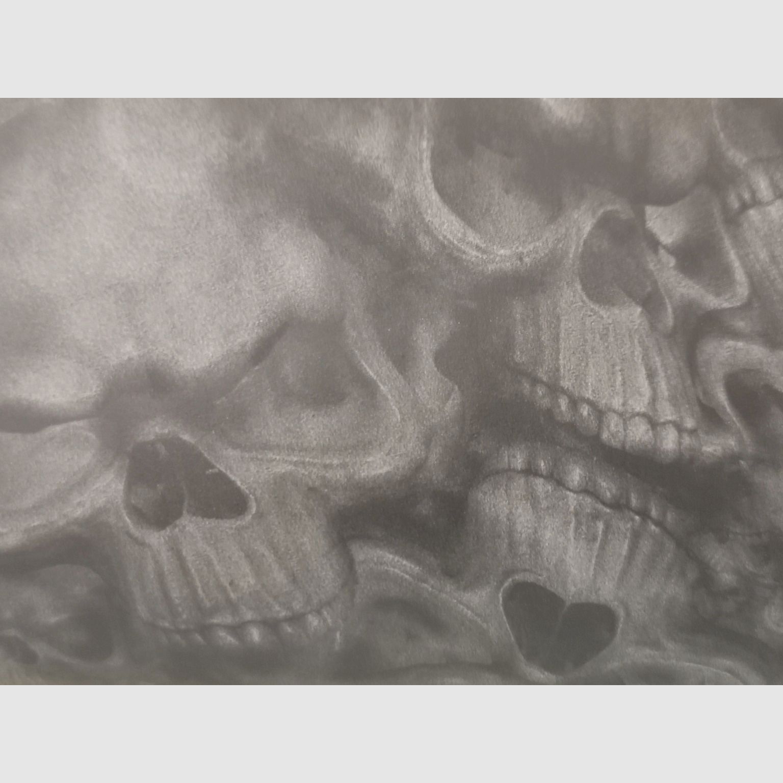 Pumpgun 12/76 Weatherby Crânes