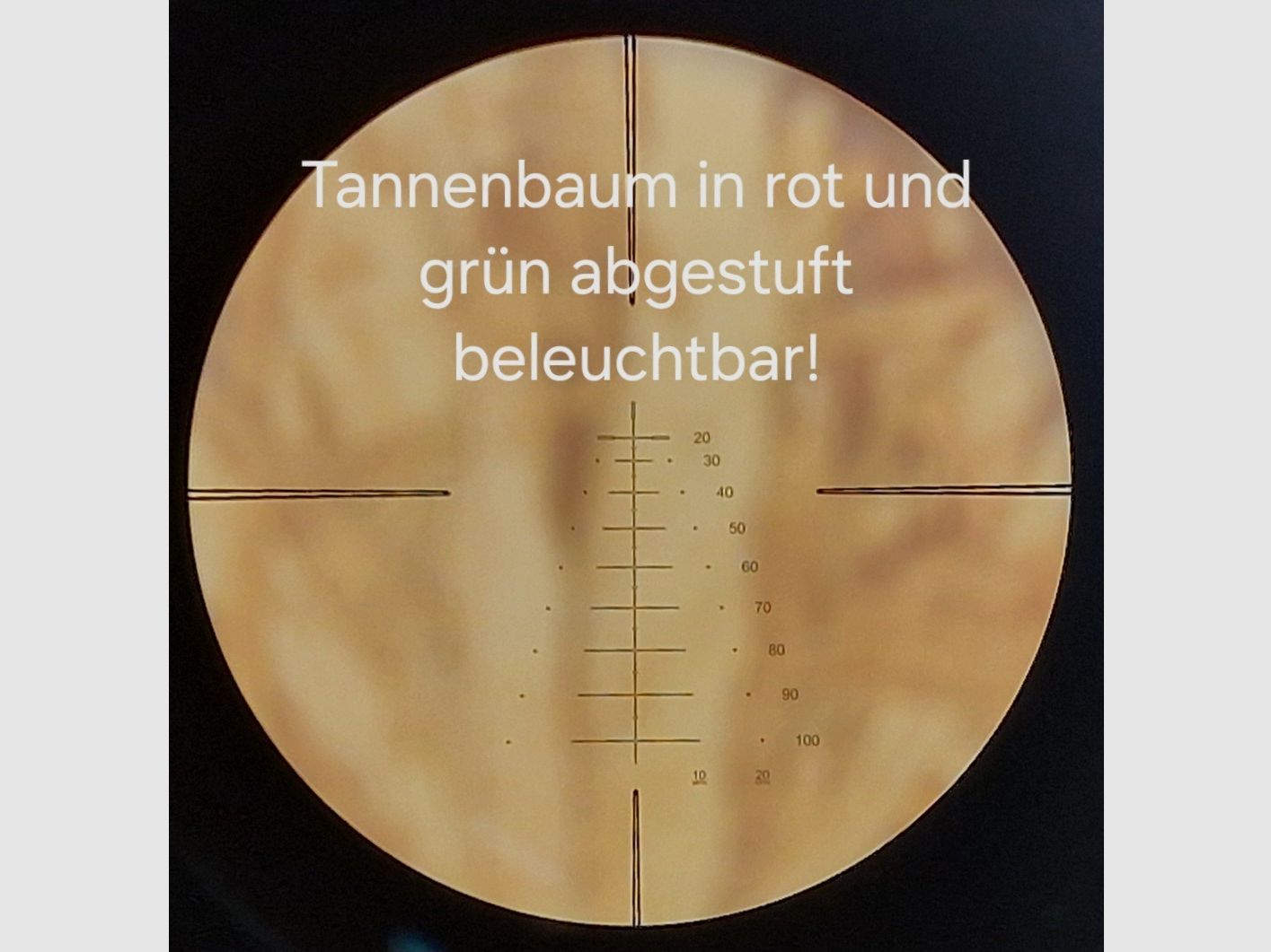 Ek Archery Siege 300 Set