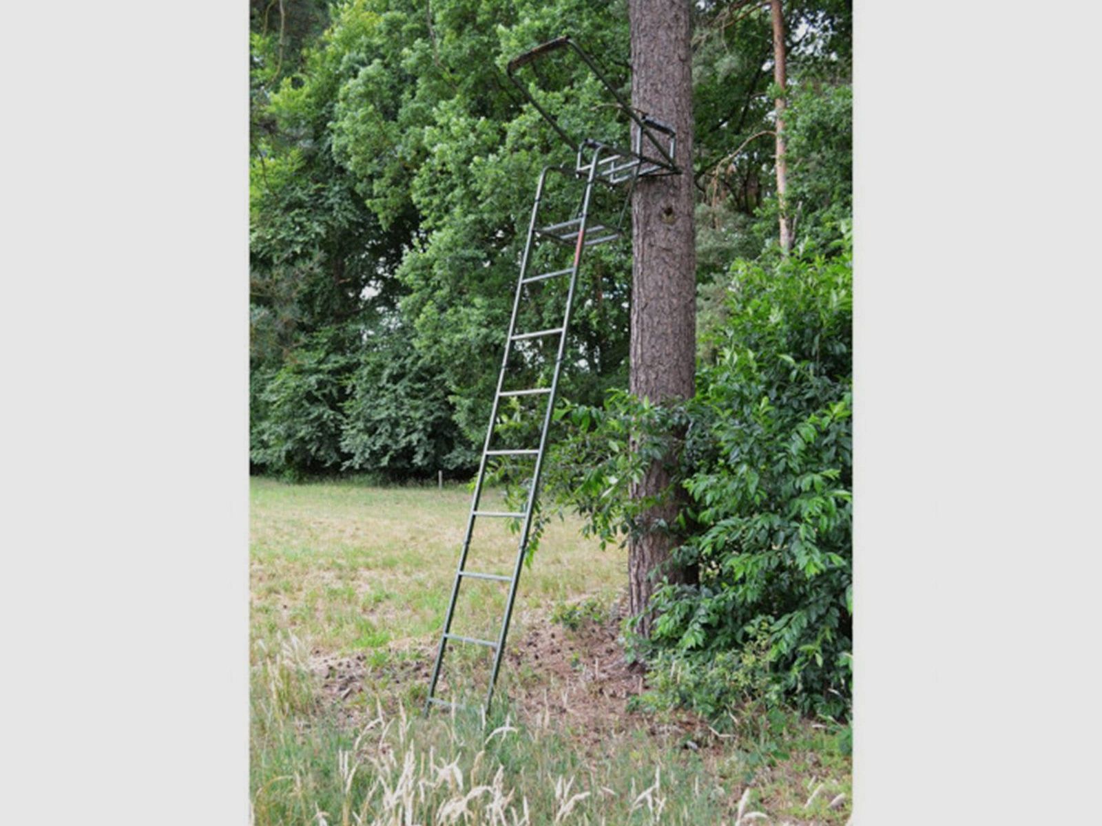Farm-Land Ansitzleiter