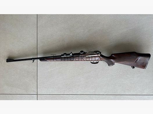 Mauser Mod 66 .30-06Spring