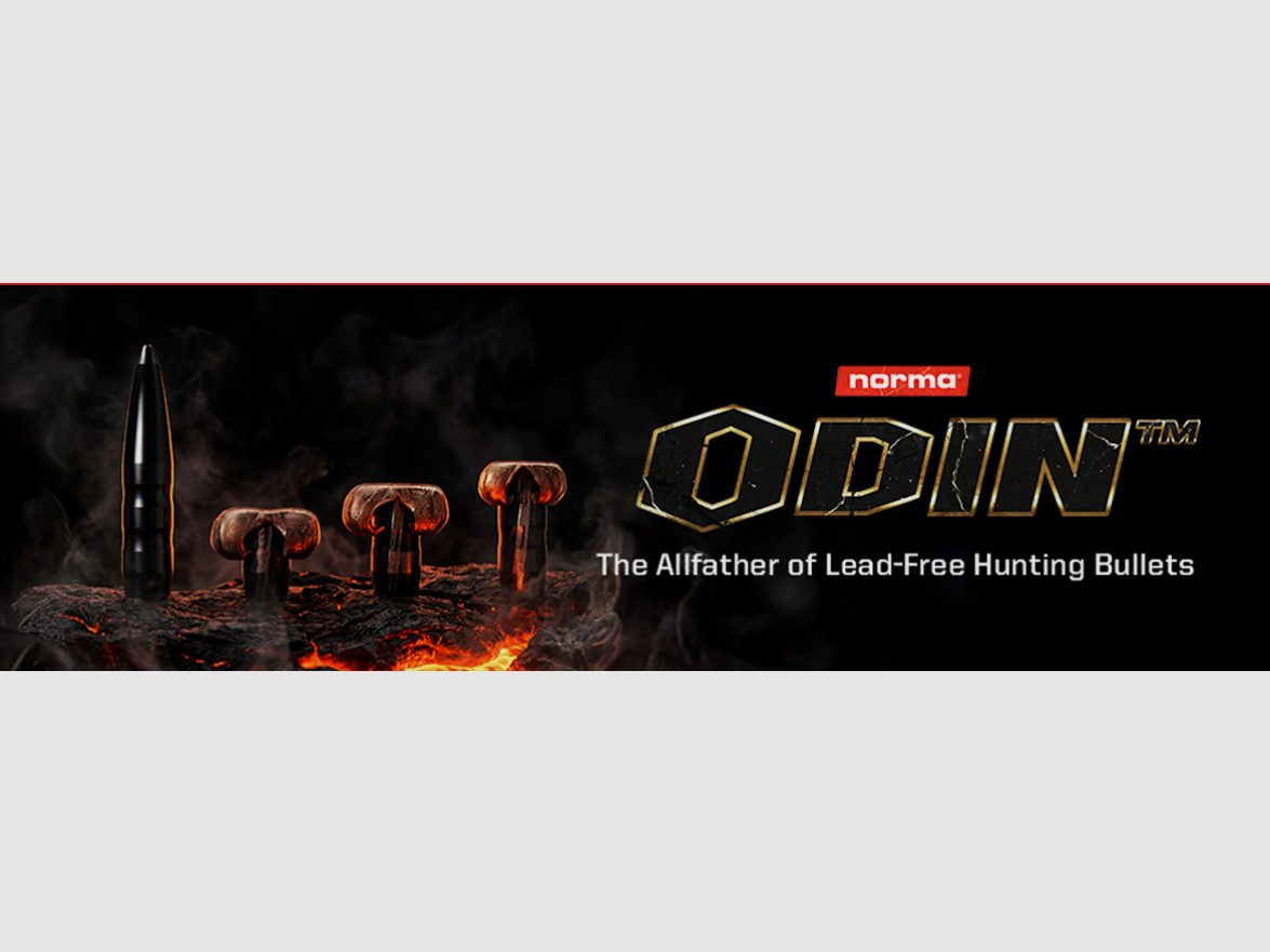 Odin, Bild 4 von 4