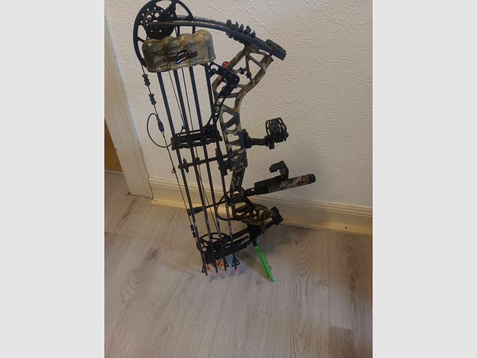 Compoundbogen Bear Legit maxx rth