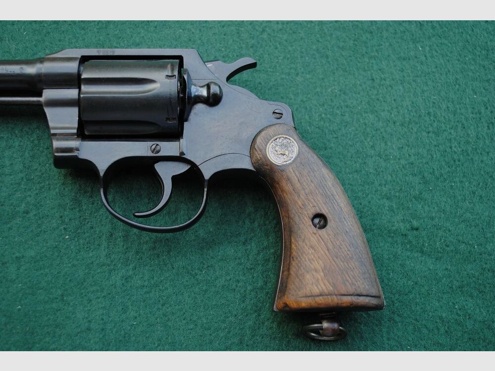 Colt Police Positive Special, Royal Hong Kong Police
