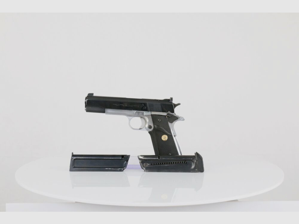 Colt ACE