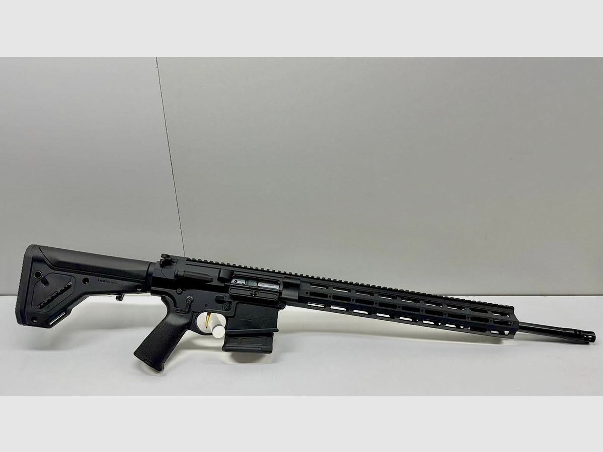 <DAR-10 DMR | FUCILE DA CECCHINO DESIGNATO | AR10 – 20″