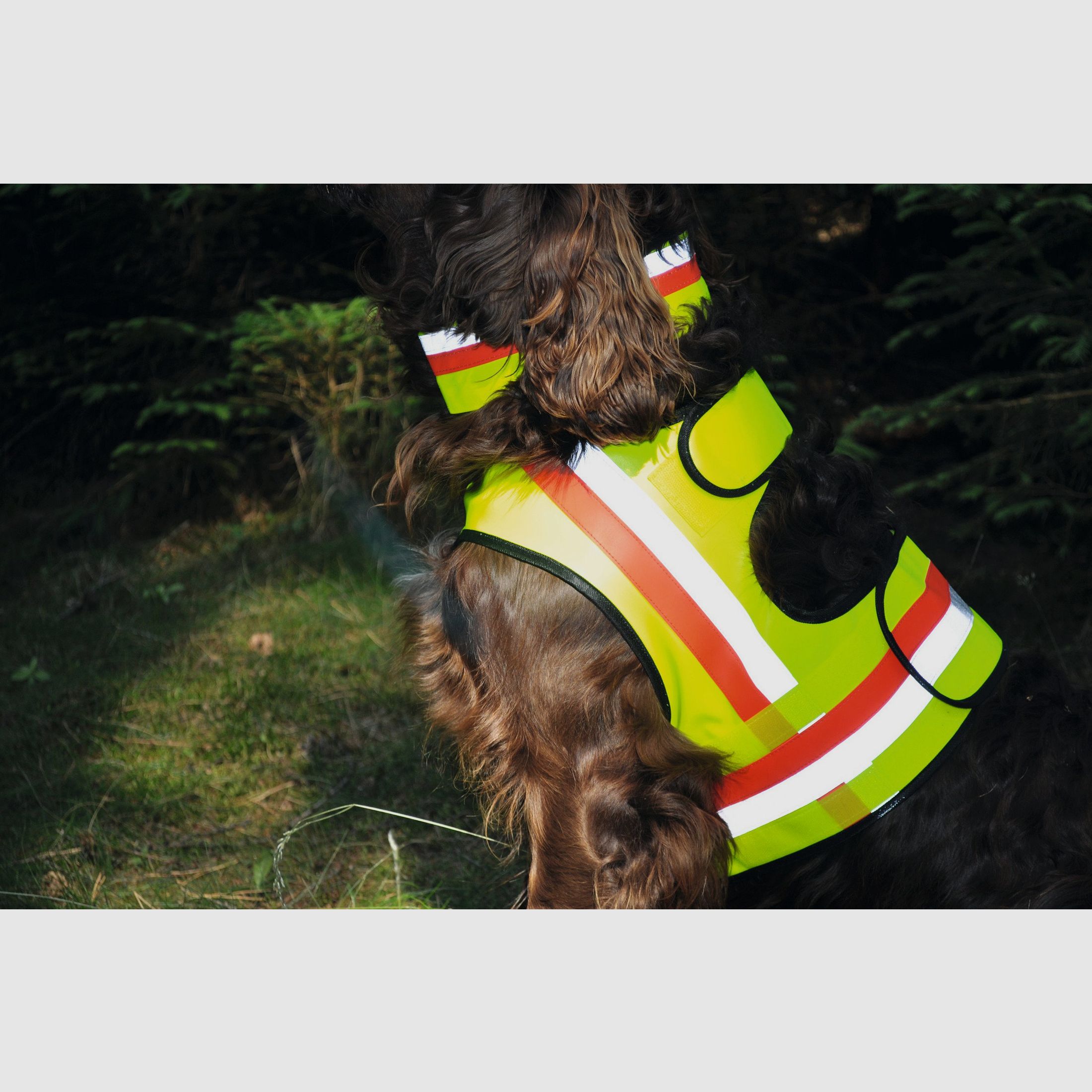 Nordforest Hunting Hundewarnweste