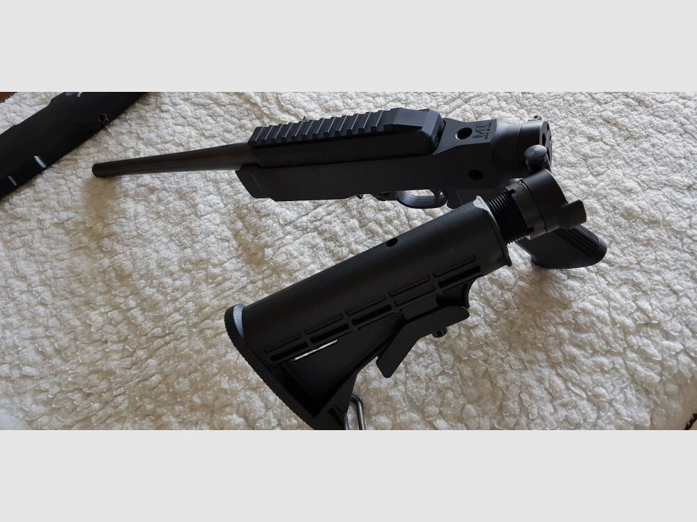 Ruger Charger 22