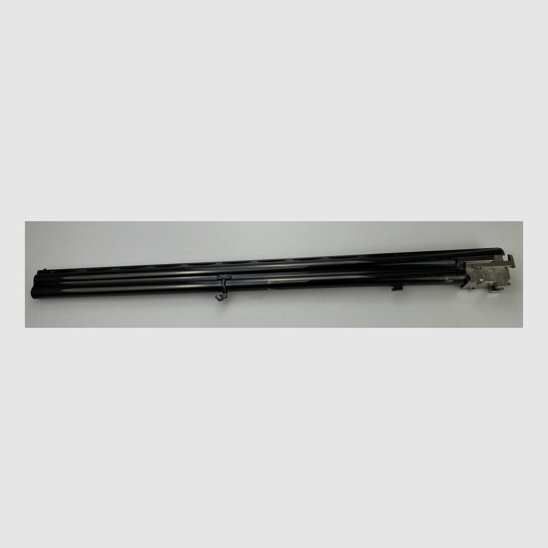 Rottweil	 720 Trap