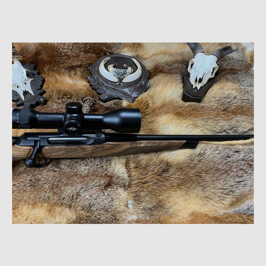 Sauer & Sohn Mod. 505