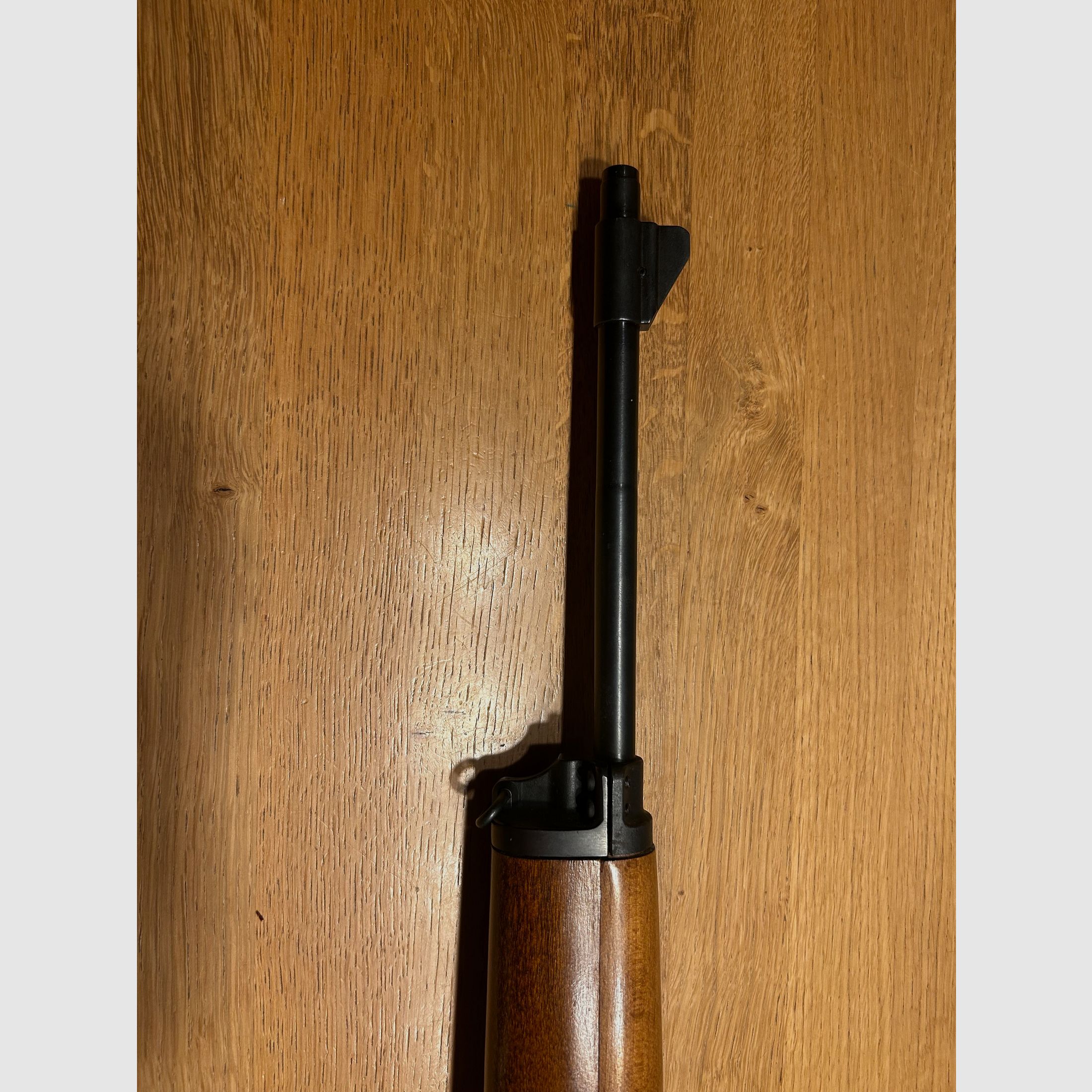Ruger mini 14